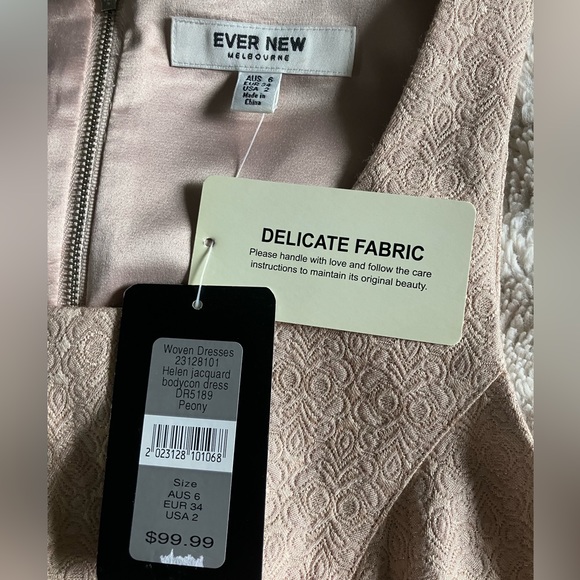BNWT Ever New Melbourne Nude Dress with slight shimmer - Picture 2 of 4